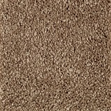 Mohawk Carpet
Elegant Appeal II 12'